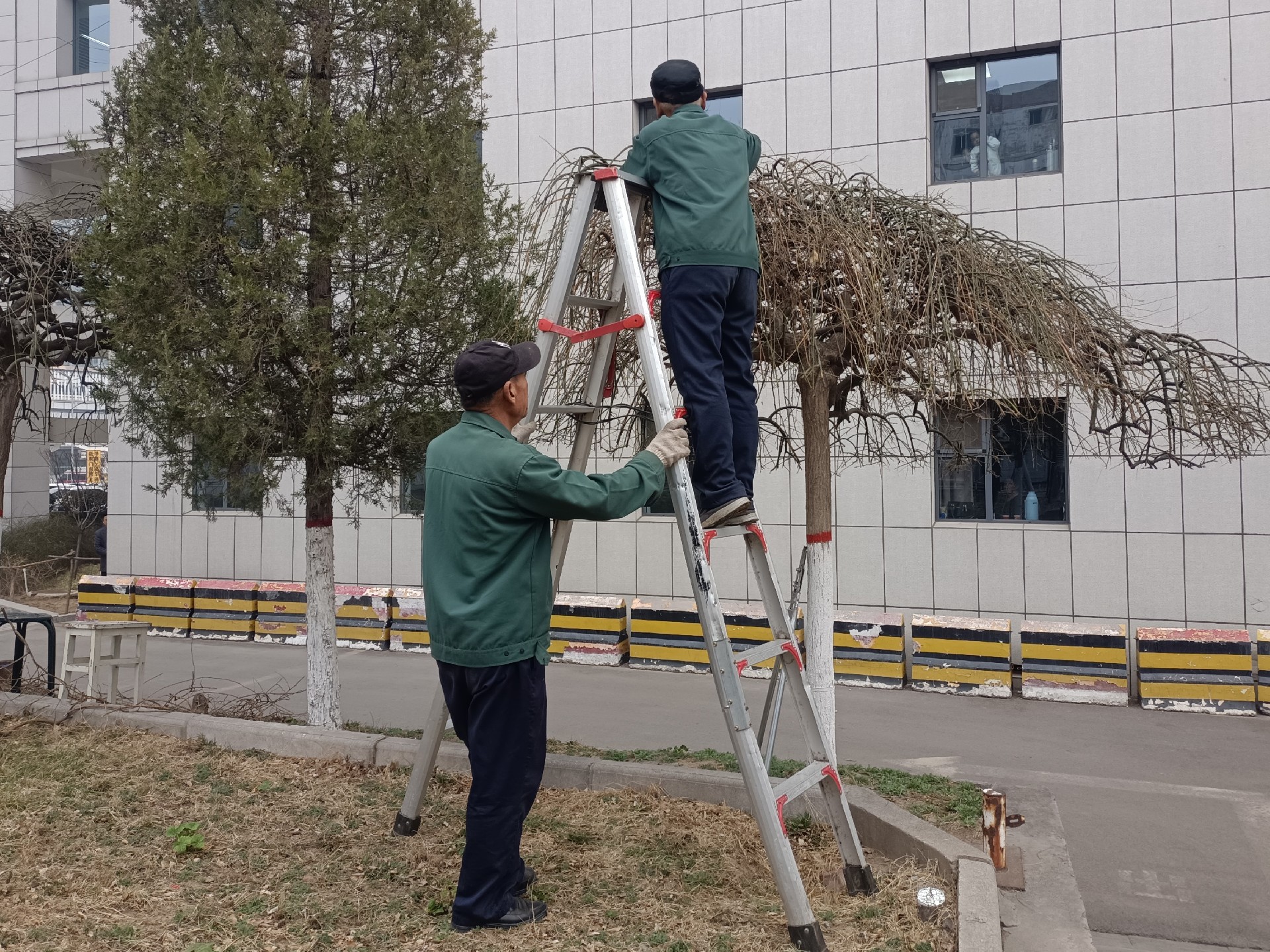 微信图片_20250315094850.jpg