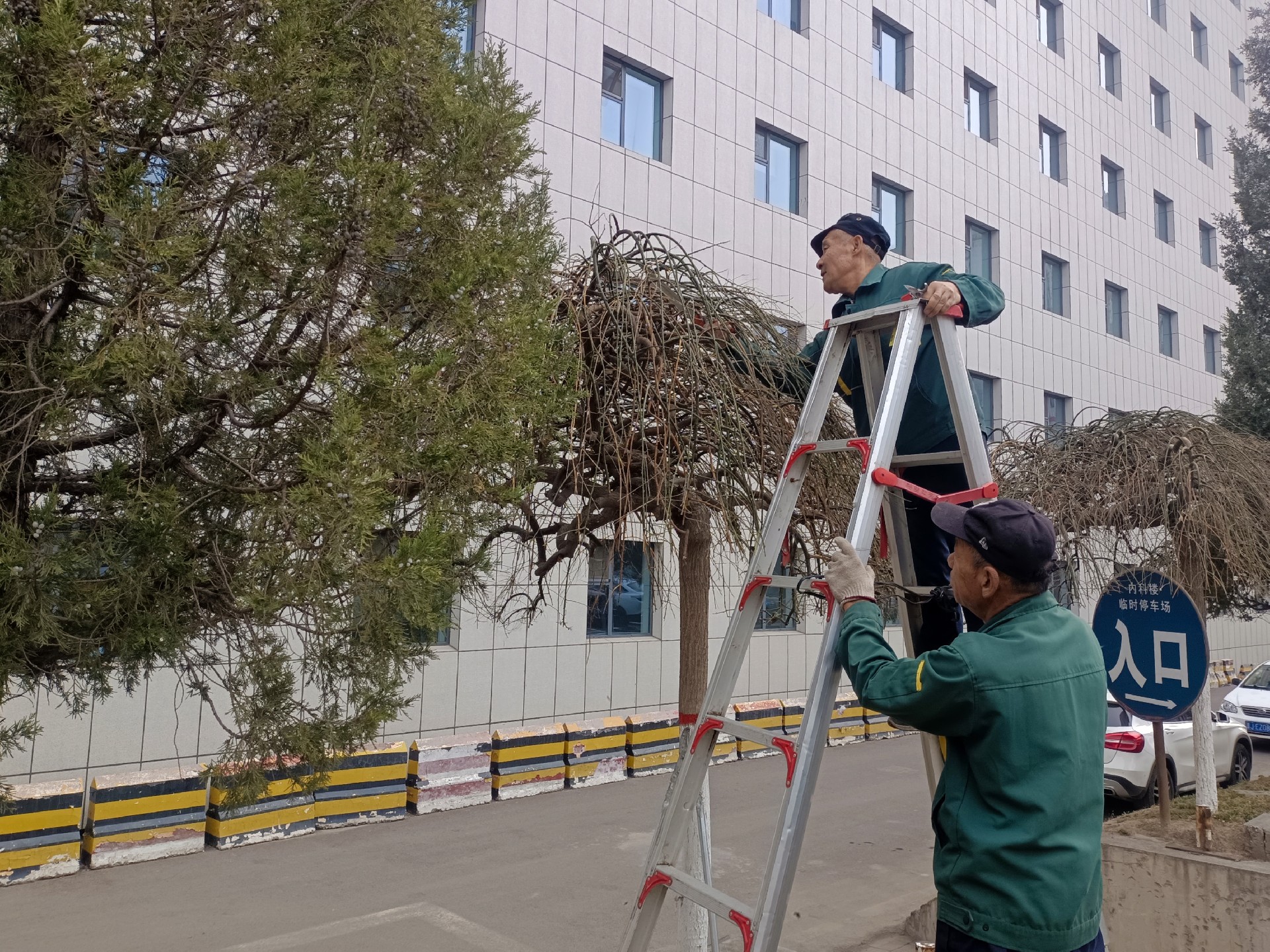 微信图片_20250315094854.jpg
